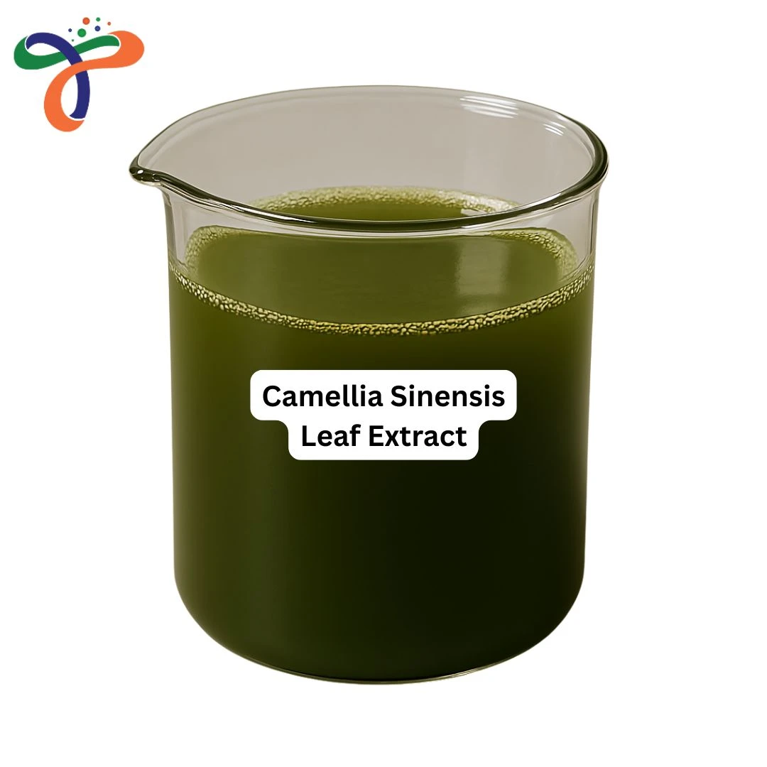 Camellia Sinensis Leaf Extract